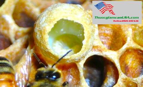 Royal Jelly 1000mg - Sua ong chua, Sữa ong chúa Úc chăm sóc sức khỏe